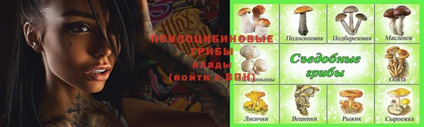 ALPHA PVP Горно-Алтайск