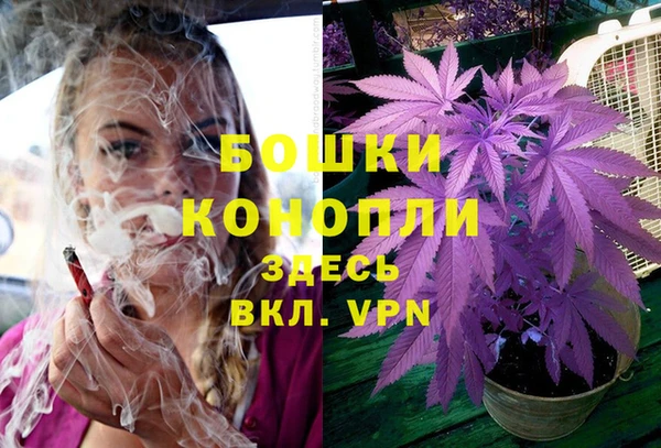 дурь Горнозаводск